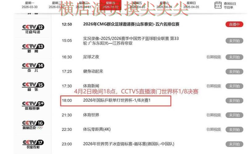 世界杯竞猜网站哪个好？围绕数据分析+直播体验做一次深度评测（世界杯实时直播）